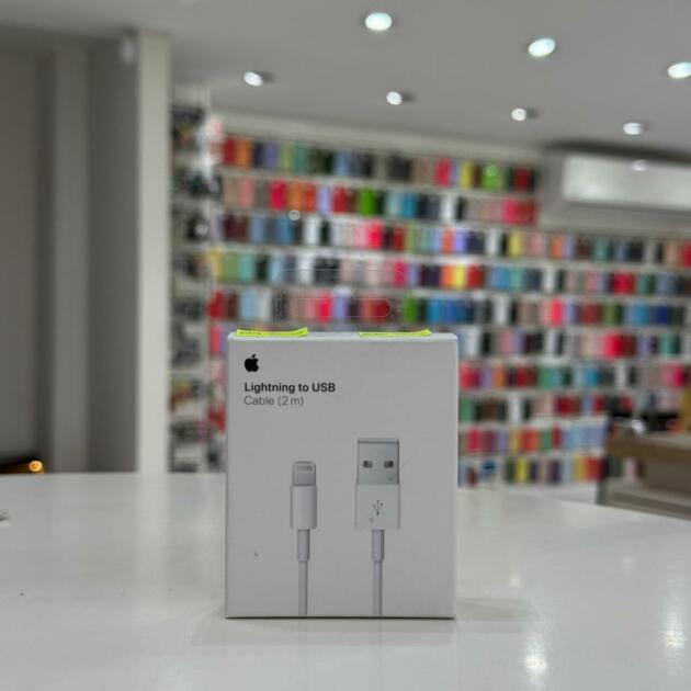 Cable Lightning a Usb Apple Original 2 metros
