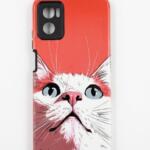 Funda Gato